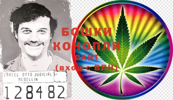 гидра Богородск