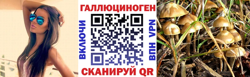 даркнет сайт  Кубинка  Псилоцибиновые грибы Magic Shrooms 